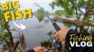 Pond FISHING Big Tilapia | Y2E45