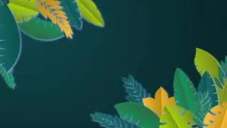 HD Leaf Abstract Colorful Motion Background l Looping - Free Stock Footage