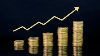 Economist calls for &lsquo;better alignment&rsquo; between monetary and fiscal policy