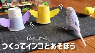 森の工作室【つくってインコとあそぼう】紙コップと紙皿で作る・ぴょんぴょんインコ・とことこインコ・ゆらゆらインコ