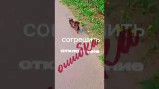 Согрешить - это не зло! #цитатыизкниг #pov #ошибки