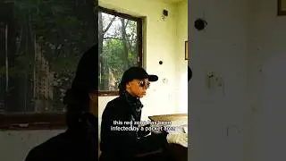 English teaser Ghost-Farm part II