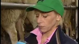 Old Chatham Sheepherding Company Promotional Video