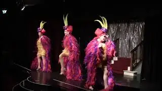 Shield Sister Show 2019 SHOWBAGS  Lady Marmalade