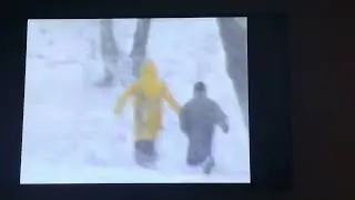 Lexington NC March 1993 Blizzard