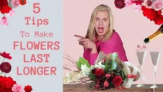 5 Steps to make your cut Flowers last longer| Cut Flowers Care