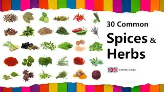 Learn Spices and Herbs in British English (30 Common Names with Spelling)
