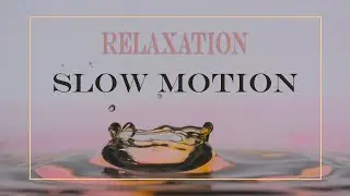 Relaxing Beautiful Slow Motion Video || Красивое Видео в Замедлении