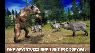 🌲Wild Forest Survival: Animal Simulator-🐻Bear- By Wild Animals World-Android