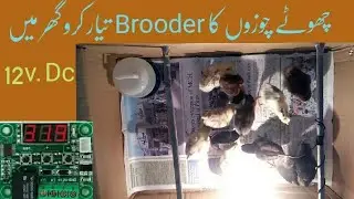 how to make a chicken brooder box // simple chick brooder // best chick brooder // hindi