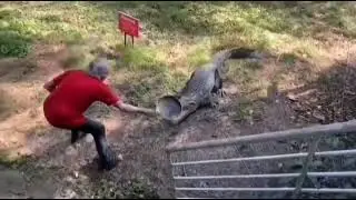 sniper tf2 scares away an alligator using a frying pan
