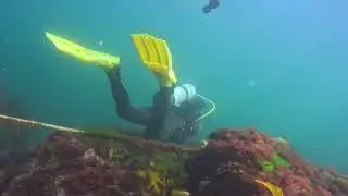 Diving with Seals off Isles of Shoals