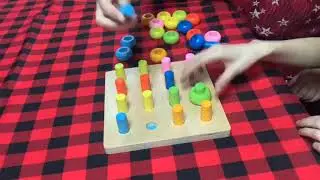 Wooden color sorting stacking rings