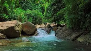 4K-HDR | Natural River Stream Ambience for Sleep and Calm | Relaxing Water Sounds for Stress Relief