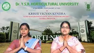 Dr.YSRHU - Horti News -33