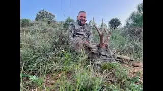Aprendiendo del maestro del corzo: Caza de trofeo en Soria con Carlos Blanco.