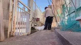Cleaning in my backyard 