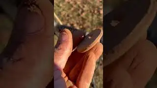 Just A Few Recent Saves. #treasure #fun #metaldetecting #viral #funny #history #shorts