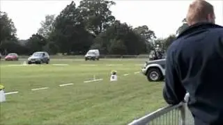MATT WERE BHDTA NATIONAL CARRIAGE DRIVING CHAMPIONSHIPS 2010 DRESSAGE