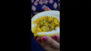 Agriculture Paradise of Maldives in Thoddoo Island