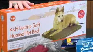 Tips for caring for pets in winter