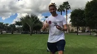 Bionic Bird
