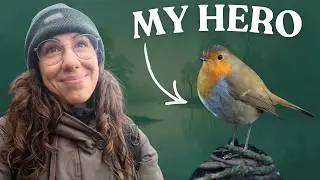 Bird Photography Saved My Life (Here's How)