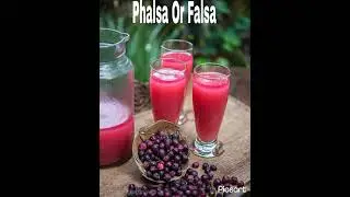 Phalsa Or Falsa🍒🍒🍒🍒 #shorts #falsajuicerecipe #falsajuice #khanakhazana #sanjeevkapoor #shortsfeed