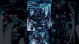 #bass #distortion #modularsynth #sounddesign