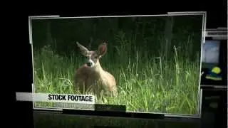 Ontario Video Production Demo-45 Degrees Latitude Video