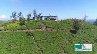 One Year of One Earth Centre - Dilmah Conservation