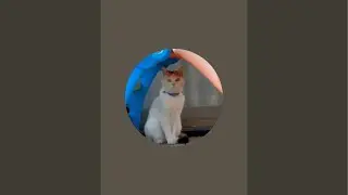 家事