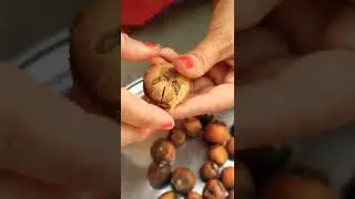 #Forest Fruit. (जंगल  के मीठे फल) 😍😋