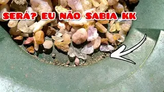 SERIA OURO E EU N&Atilde;O SABIA?! KK
