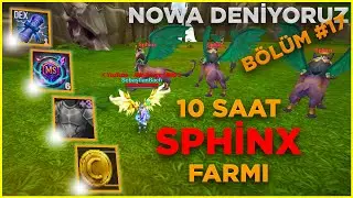Nowa Deniyoruz #17 | MS Dropları Arttırılmalı!