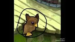 Animal Jam: Leaks