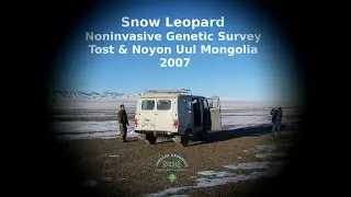 Mongolian Field Expedition to Survey Snow Leopards