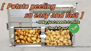 Potato peeling so easy and fast by potato brush washer peeler machine #potatopeelingmachine