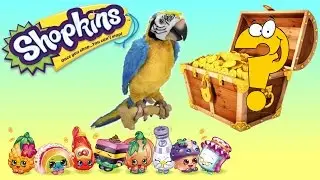 Shopkins SURPRISE Treasure! 