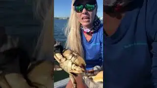 Girl Shows Anatomy of a Crab!