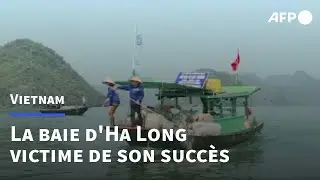 Vietnam: la beauté de la baie d'Ha Long menacée par les déchets | AFP