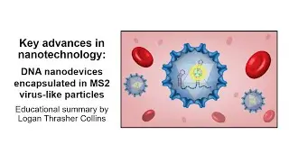 Virus shells protect DNA nanotechnology explained