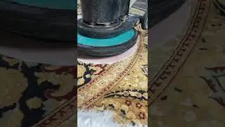 Best Rug Cleaning Midwest | Minasian Rug Care  #rugcleaningservice #rugrepair #rugcleaning