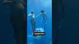 Русалки уже не те 😅 #шортс #хочуфакты #юмор