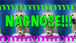 HAPPY BIRTHDAY NAGNOSE! - EPIC Happy Birthday Song
