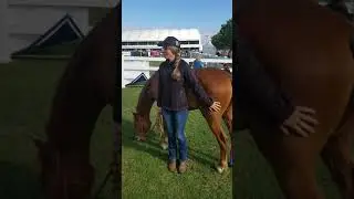 Tuffrock TJEQUINE Brumby Challenge - Equitana 2018
