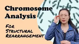 Chromosome Analysis For Structural Rearrangement @Dr_XY
