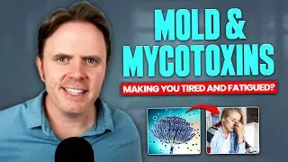 Could Mold Be the Reason You're Always Tired? Role of Mold and Mycotoxins in Fatigue