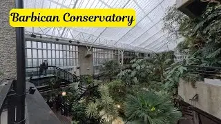 Barbican Conservatory