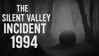 The Silent Valley Incident 1994